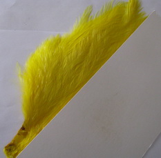 1/2 wapsi  streamer neck  yellow